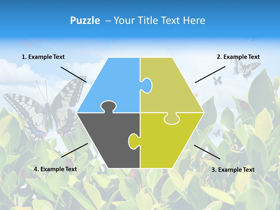 Fly Environment Ladybug PowerPoint Template