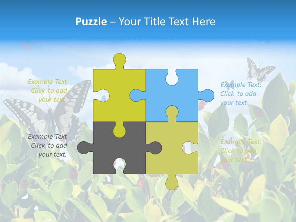 Fly Environment Ladybug PowerPoint Template