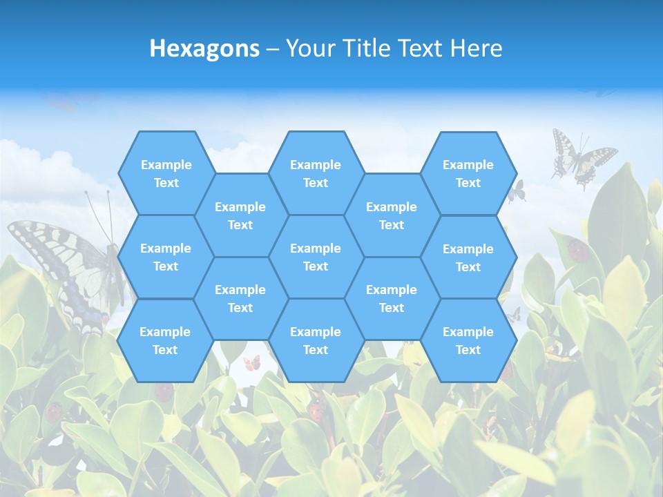 Fly Environment Ladybug PowerPoint Template