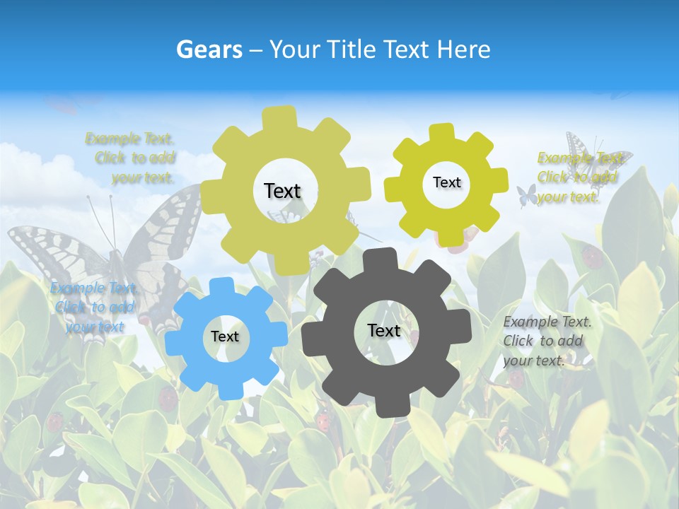 Fly Environment Ladybug PowerPoint Template