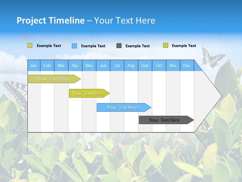 Fly Environment Ladybug PowerPoint Template