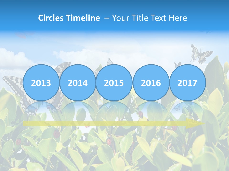 Fly Environment Ladybug PowerPoint Template