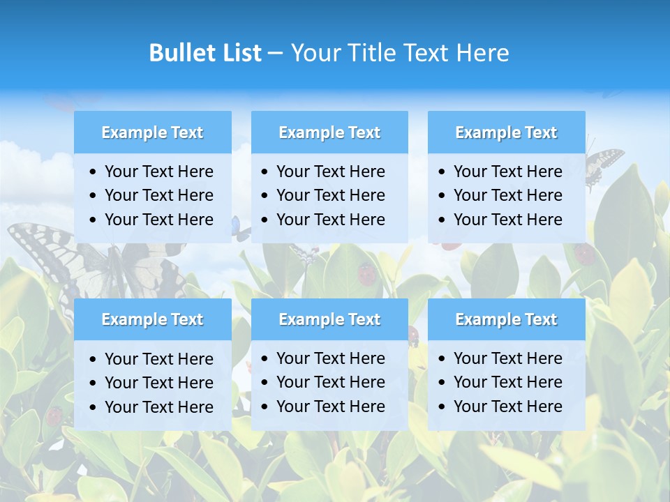 Fly Environment Ladybug PowerPoint Template