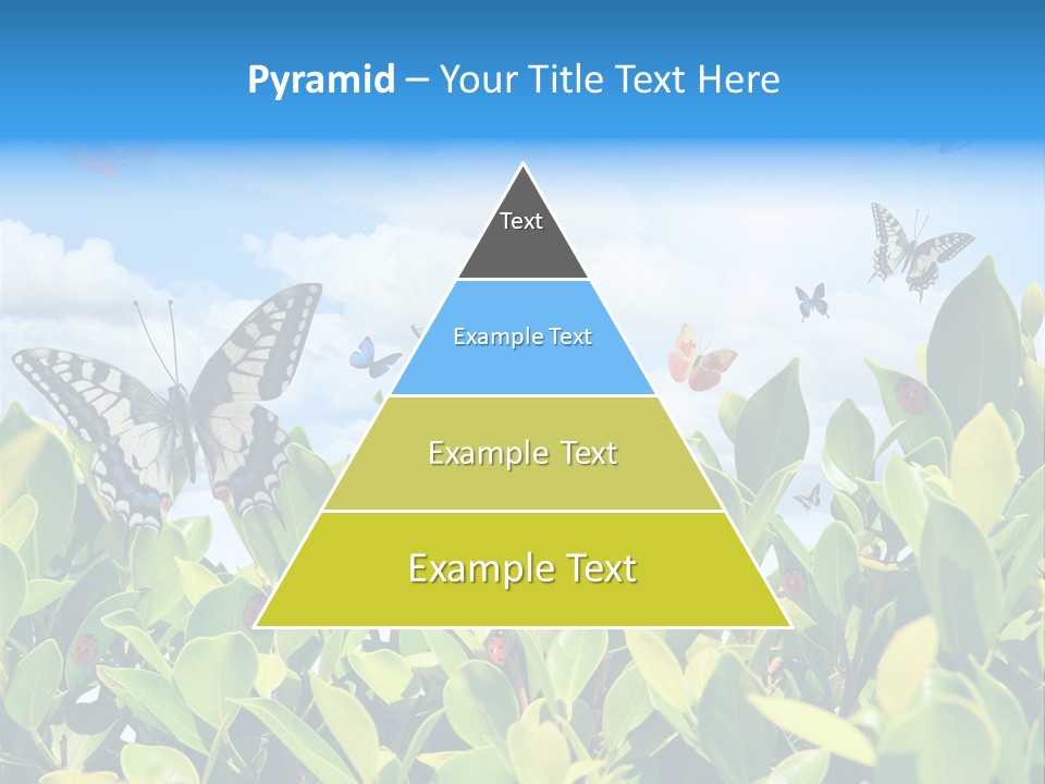 Fly Environment Ladybug PowerPoint Template