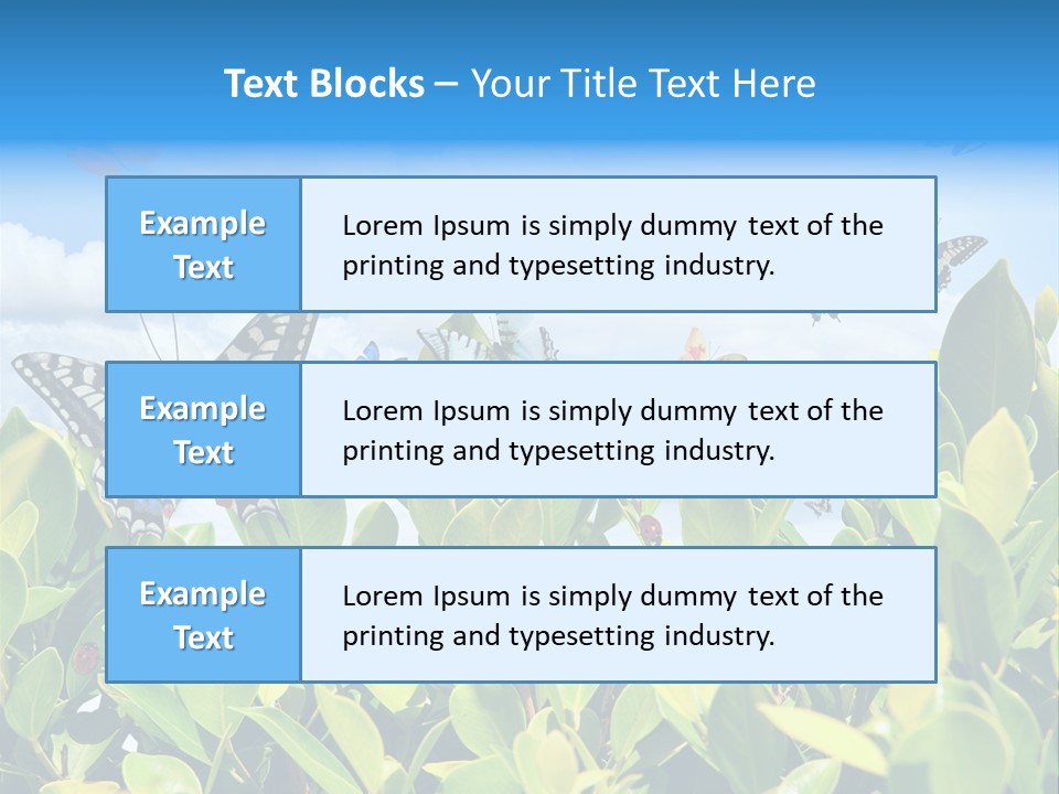 Fly Environment Ladybug PowerPoint Template