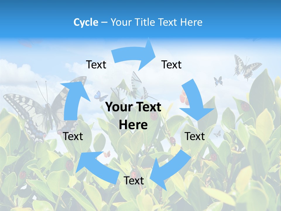 Fly Environment Ladybug PowerPoint Template