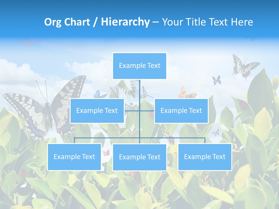 Fly Environment Ladybug PowerPoint Template