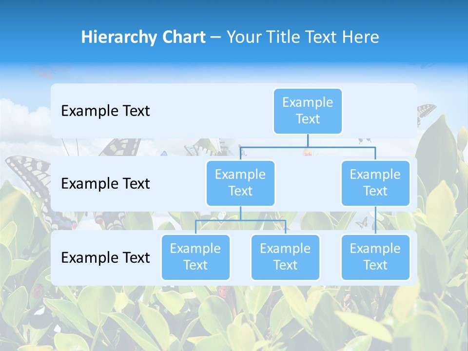 Fly Environment Ladybug PowerPoint Template