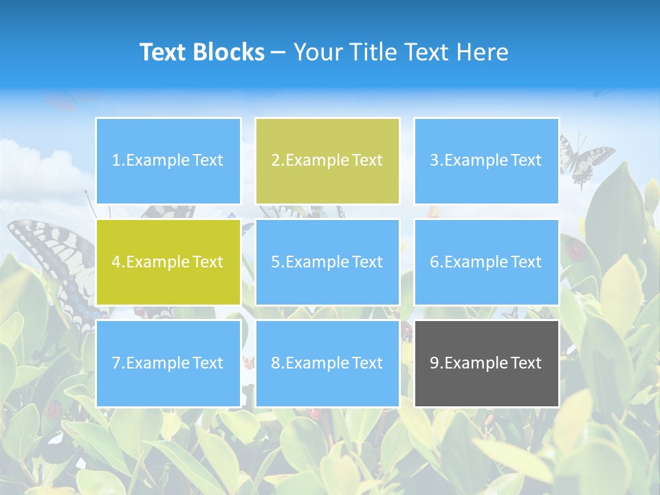 Fly Environment Ladybug PowerPoint Template