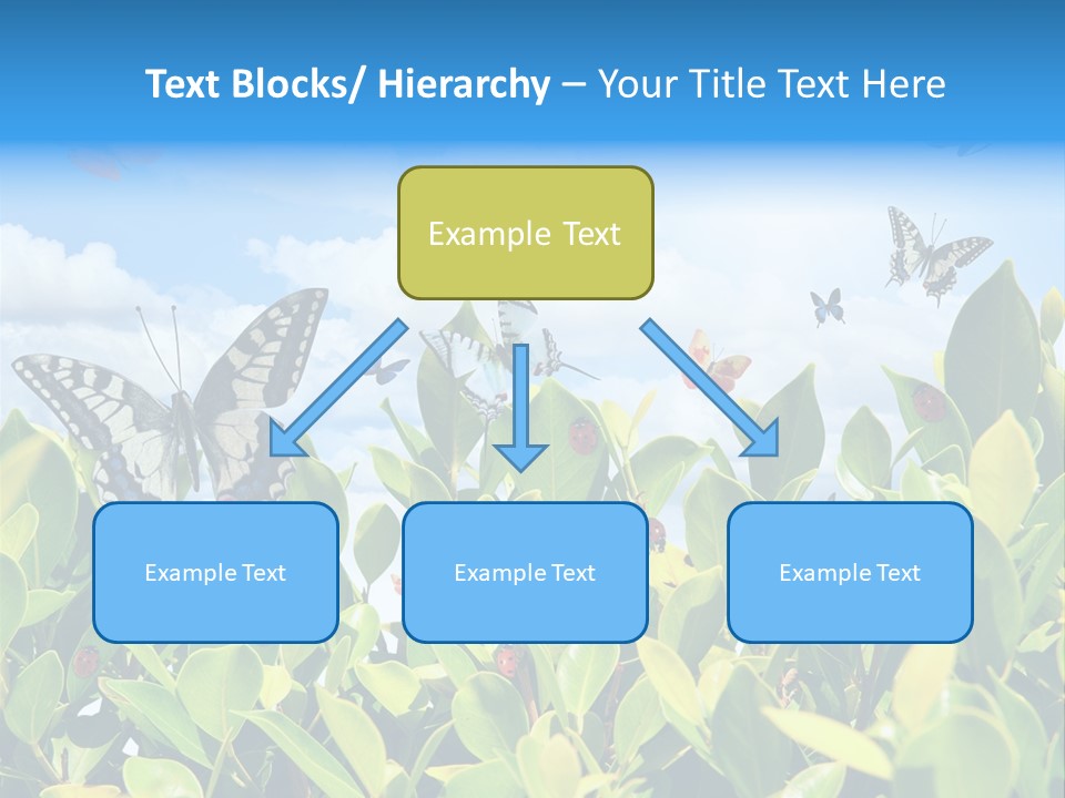 Fly Environment Ladybug PowerPoint Template
