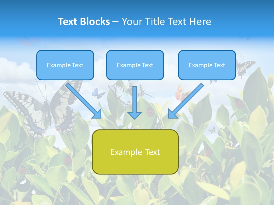 Fly Environment Ladybug PowerPoint Template