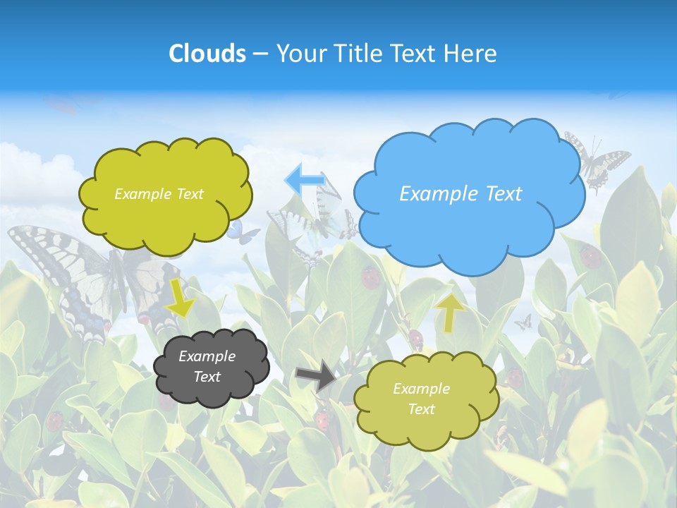Fly Environment Ladybug PowerPoint Template