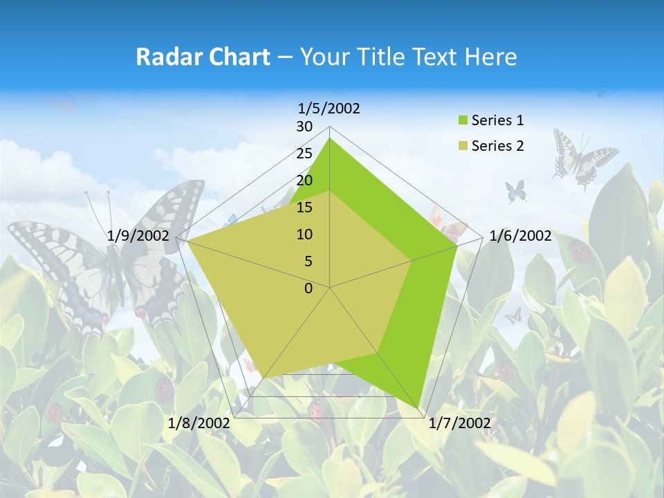 Fly Environment Ladybug PowerPoint Template