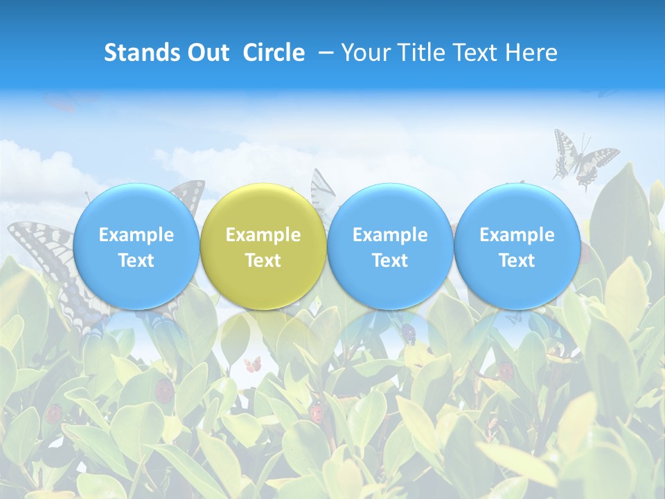 Fly Environment Ladybug PowerPoint Template