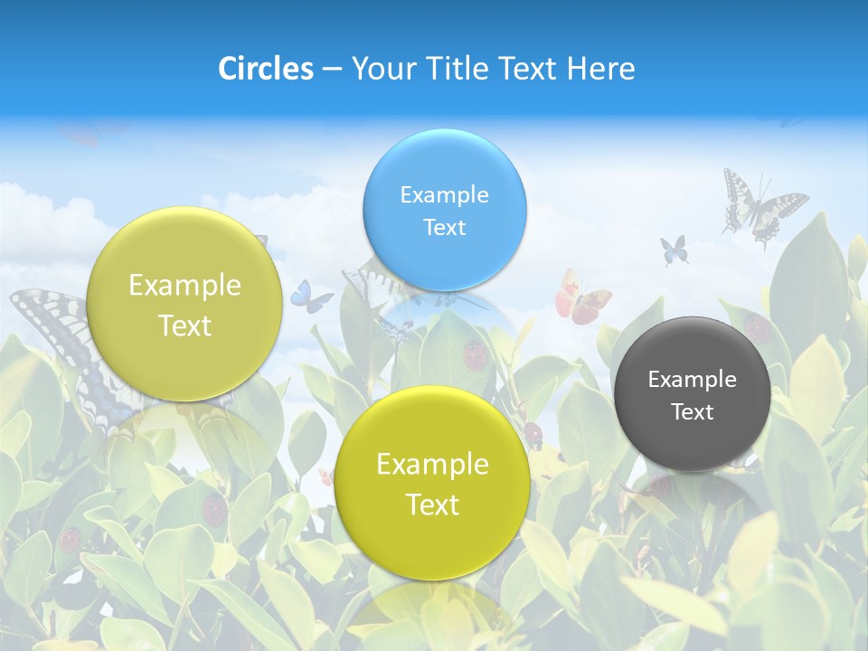 Fly Environment Ladybug PowerPoint Template