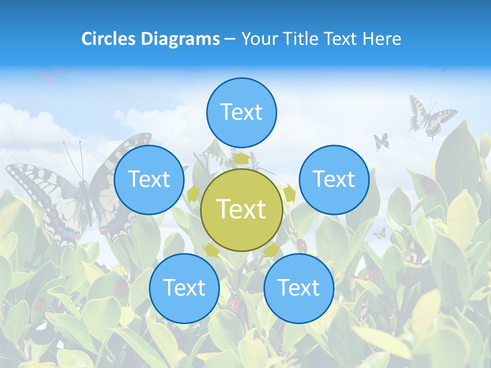 Fly Environment Ladybug PowerPoint Template