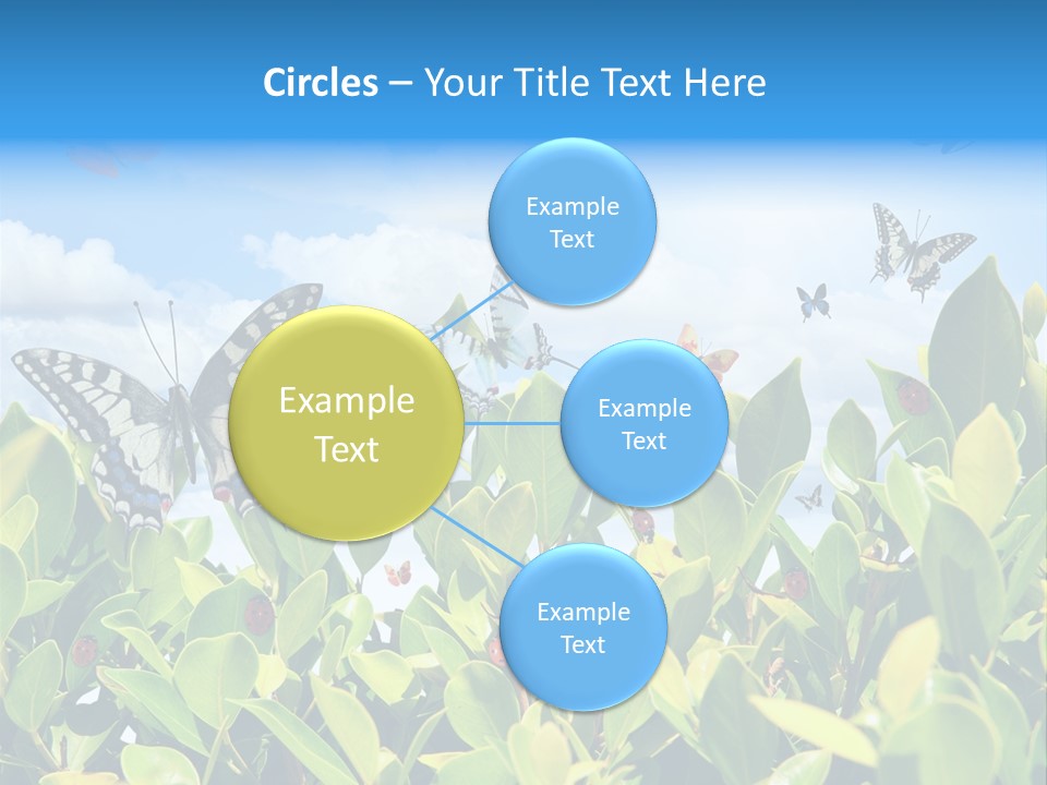 Fly Environment Ladybug PowerPoint Template