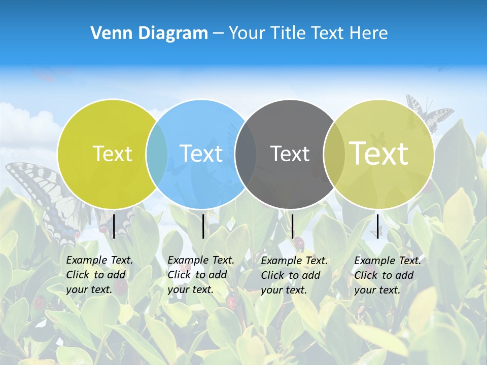 Fly Environment Ladybug PowerPoint Template