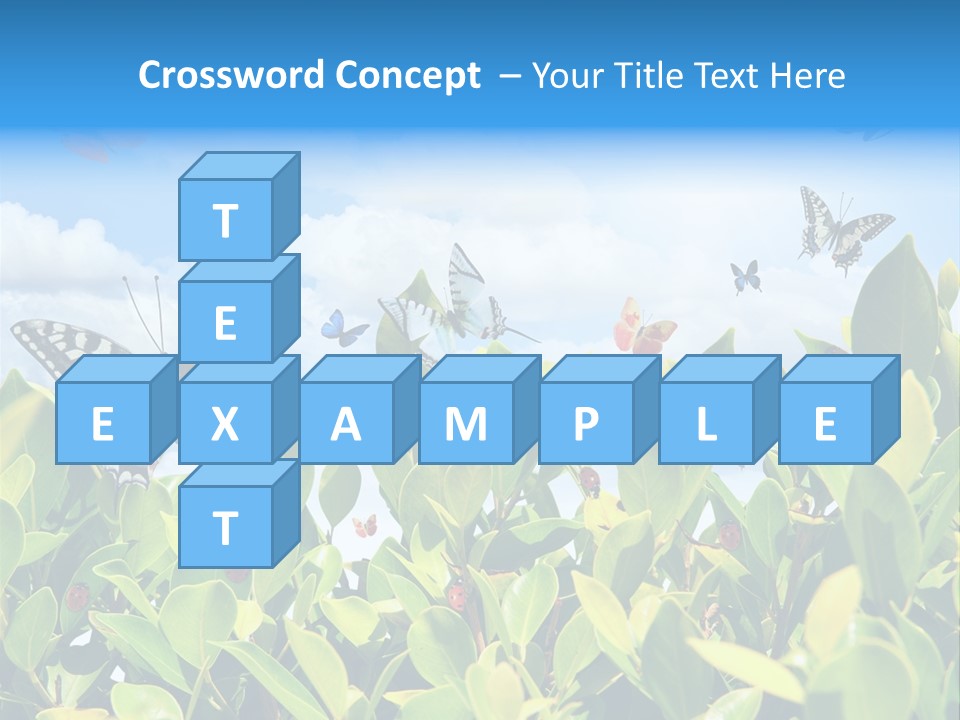 Fly Environment Ladybug PowerPoint Template