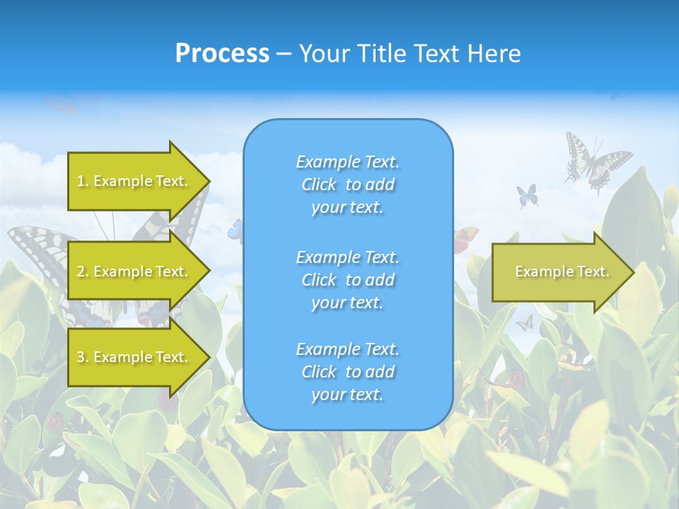 Fly Environment Ladybug PowerPoint Template