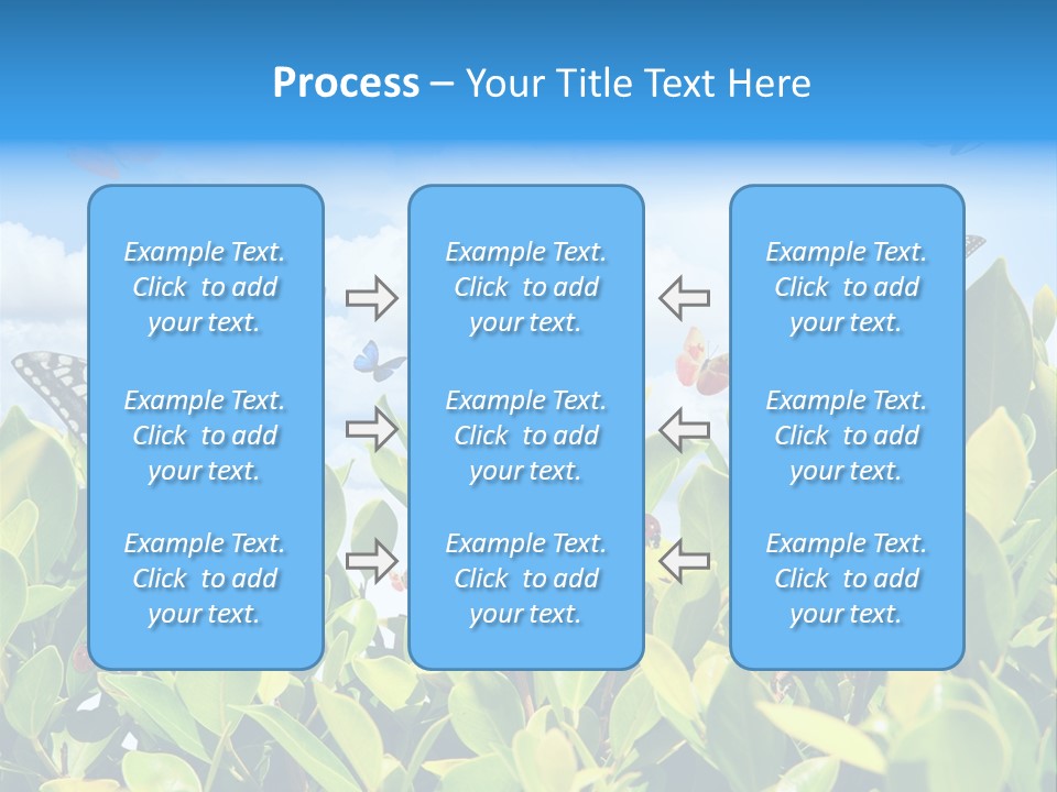 Fly Environment Ladybug PowerPoint Template