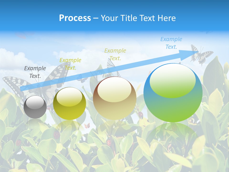 Fly Environment Ladybug PowerPoint Template