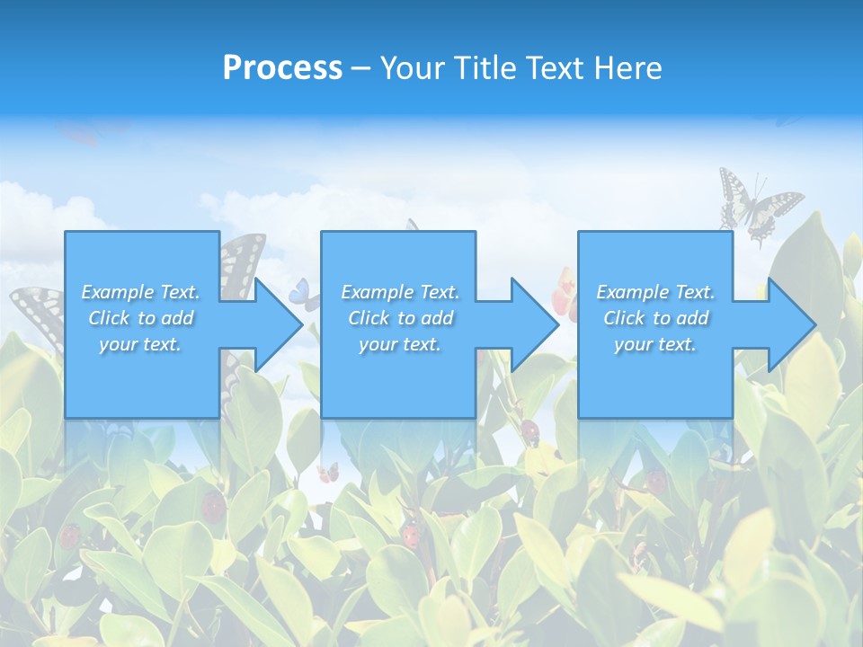 Fly Environment Ladybug PowerPoint Template
