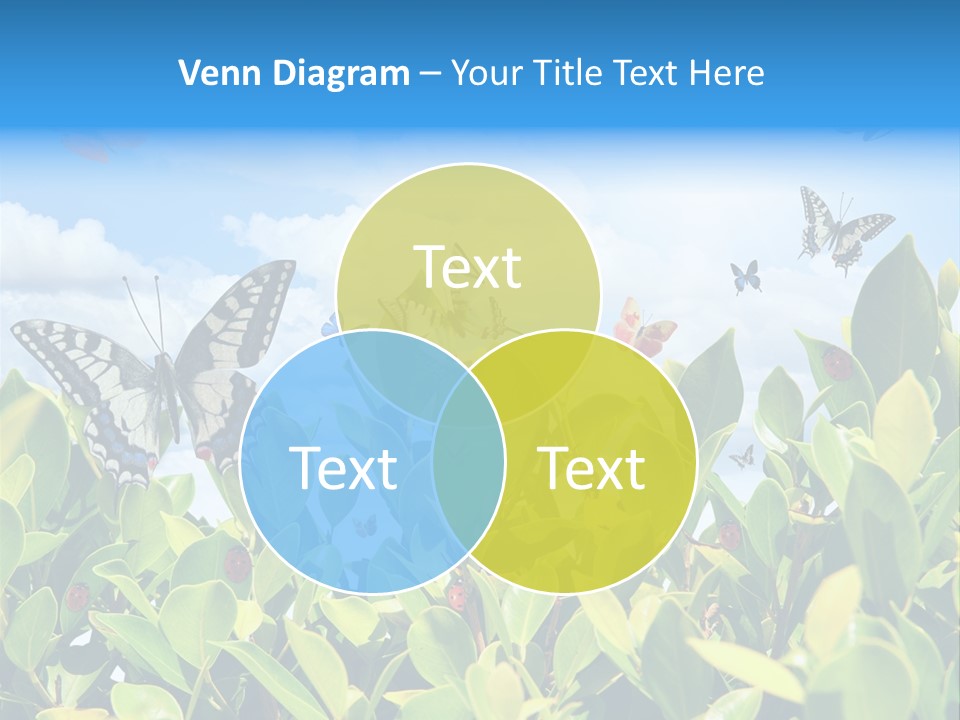 Fly Environment Ladybug PowerPoint Template