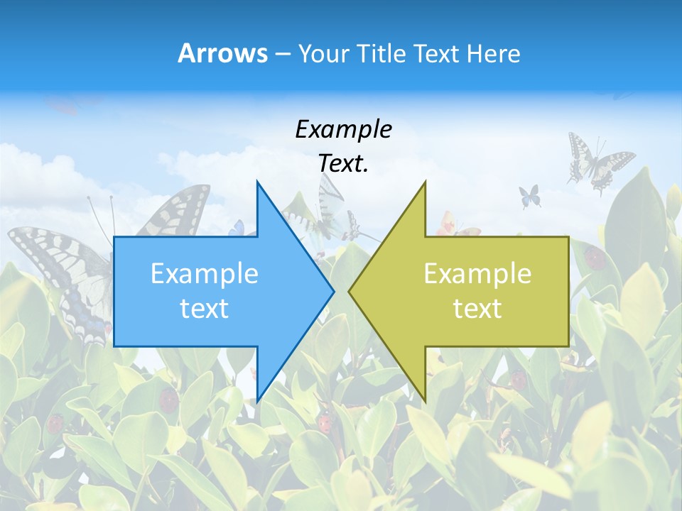 Fly Environment Ladybug PowerPoint Template