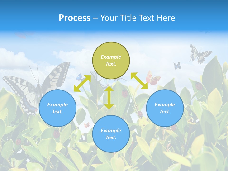 Fly Environment Ladybug PowerPoint Template