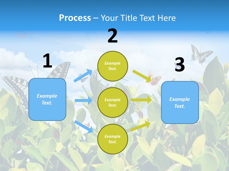 Fly Environment Ladybug PowerPoint Template