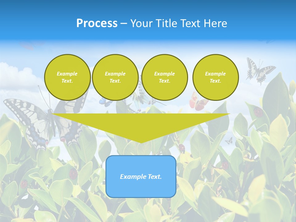 Fly Environment Ladybug PowerPoint Template