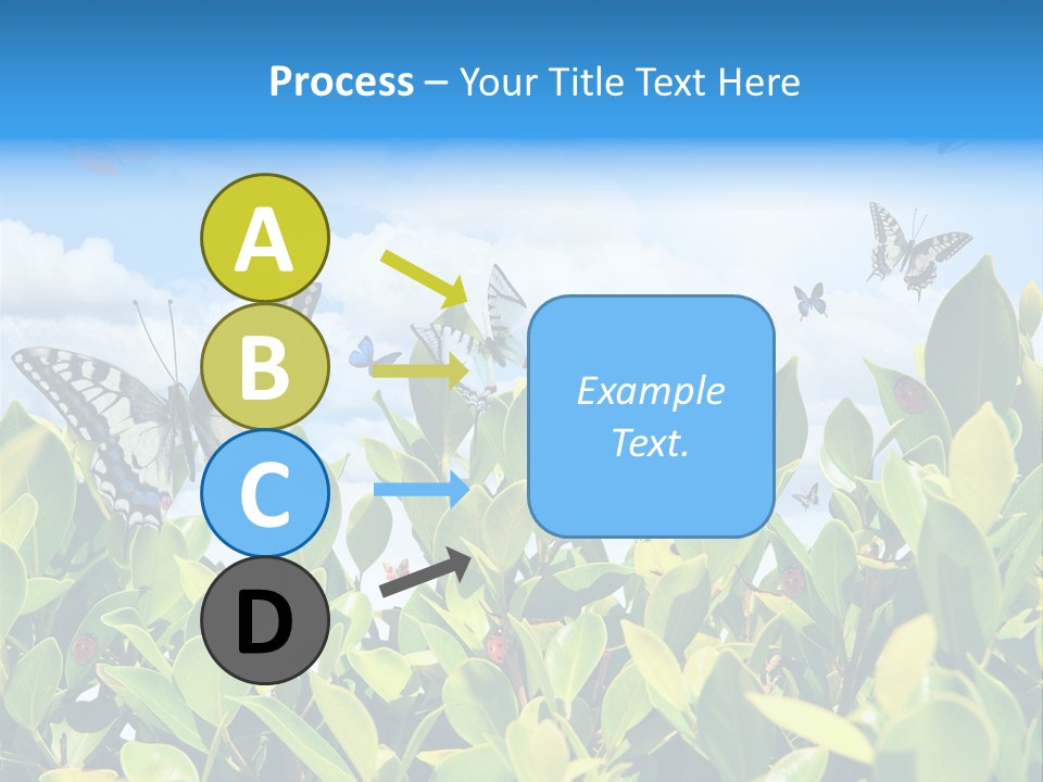 Fly Environment Ladybug PowerPoint Template
