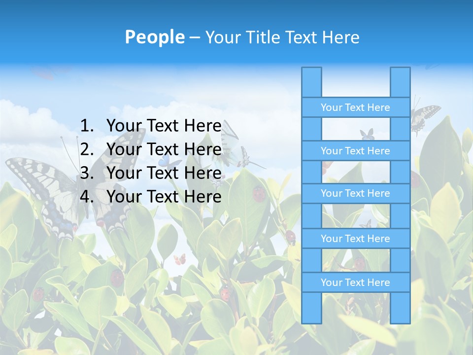 Fly Environment Ladybug PowerPoint Template