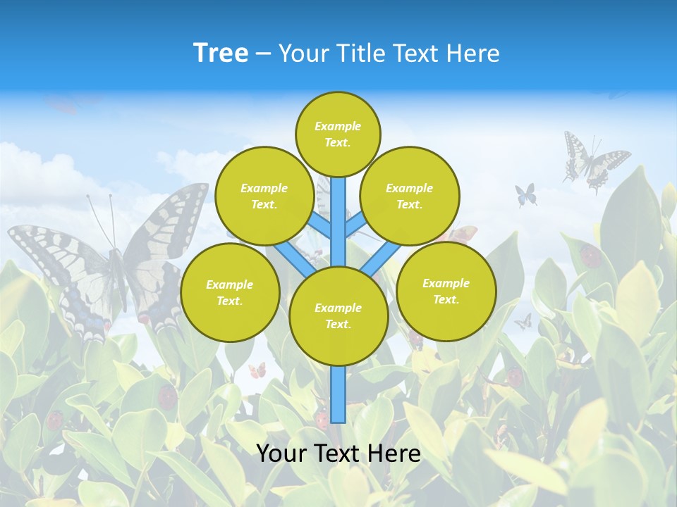 Fly Environment Ladybug PowerPoint Template