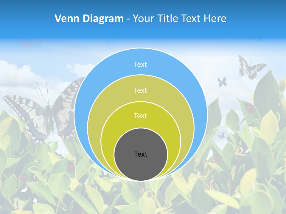 Fly Environment Ladybug PowerPoint Template