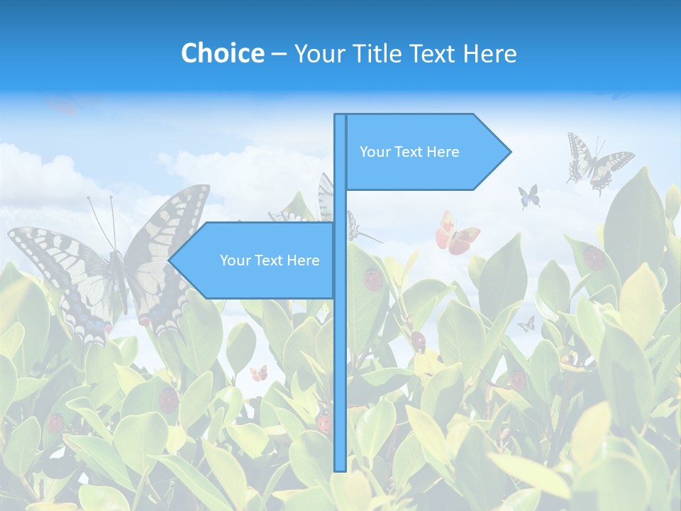Fly Environment Ladybug PowerPoint Template