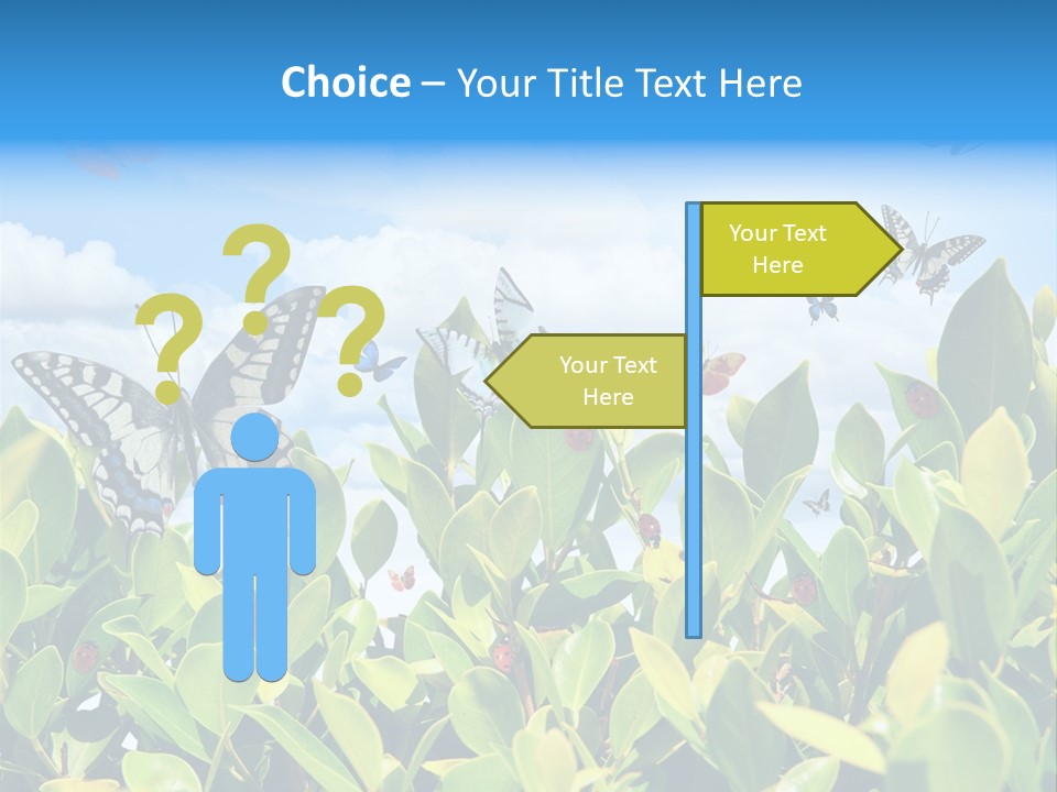 Fly Environment Ladybug PowerPoint Template