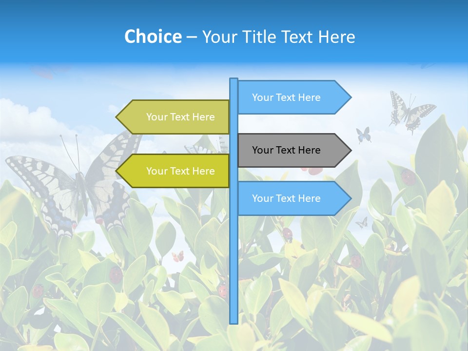 Fly Environment Ladybug PowerPoint Template