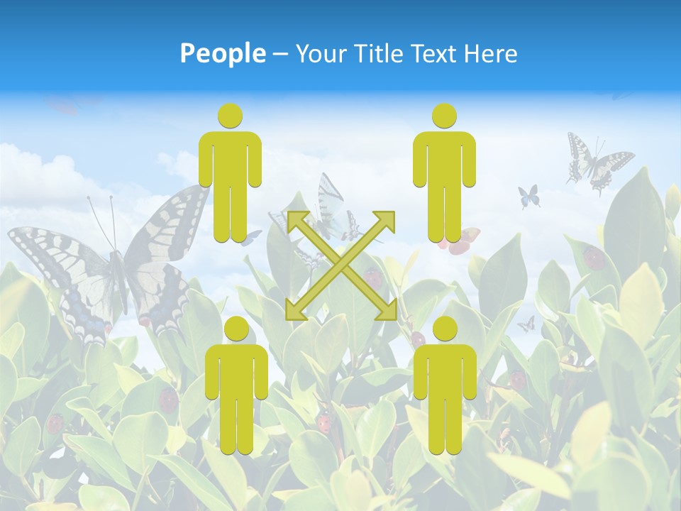 Fly Environment Ladybug PowerPoint Template