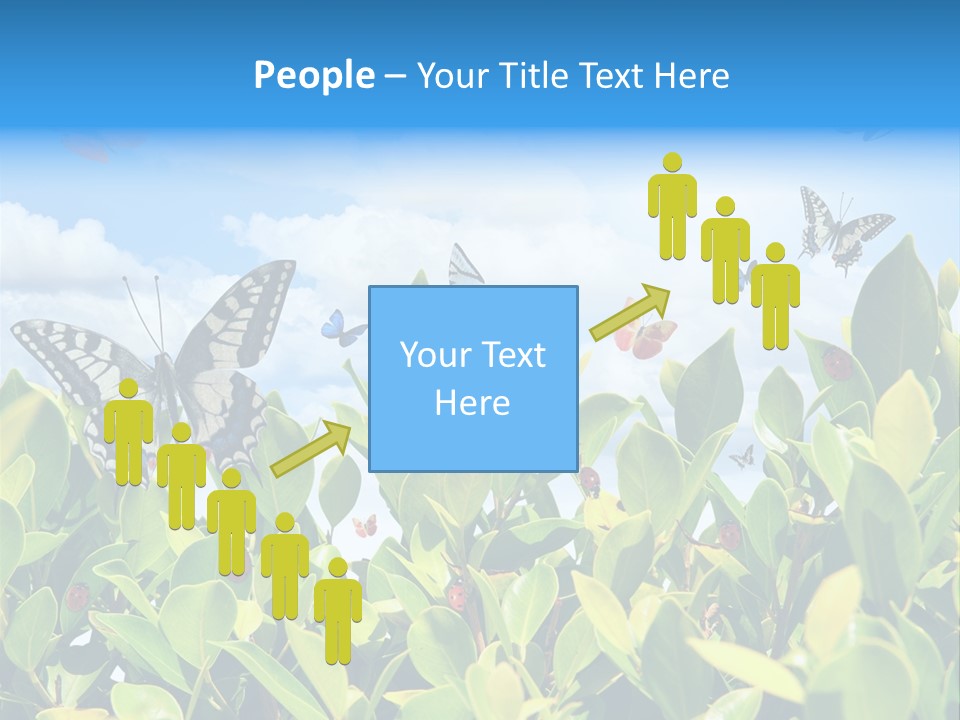 Fly Environment Ladybug PowerPoint Template