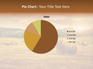 Hay Wheat Field PowerPoint Template