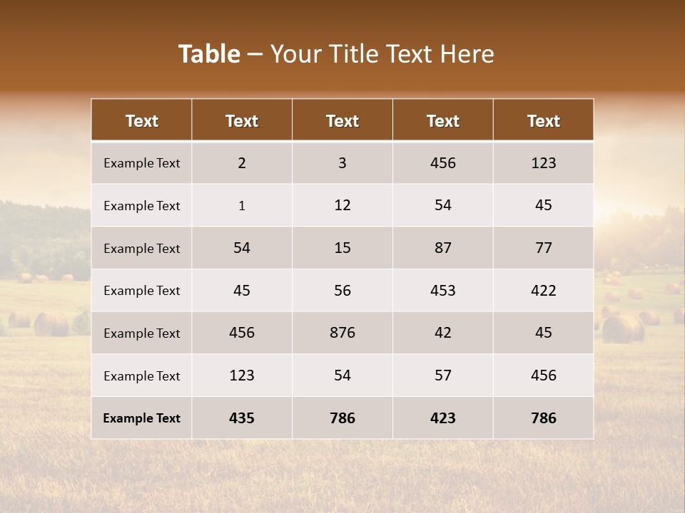 Hay Wheat Field PowerPoint Template