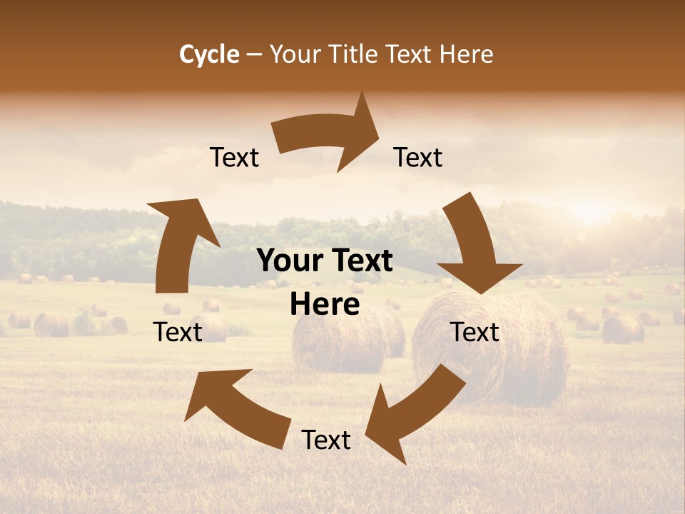 Hay Wheat Field PowerPoint Template