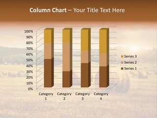 Hay Wheat Field PowerPoint Template