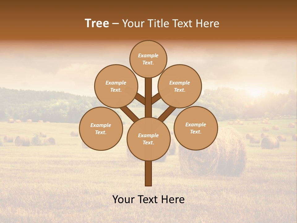 Hay Wheat Field PowerPoint Template