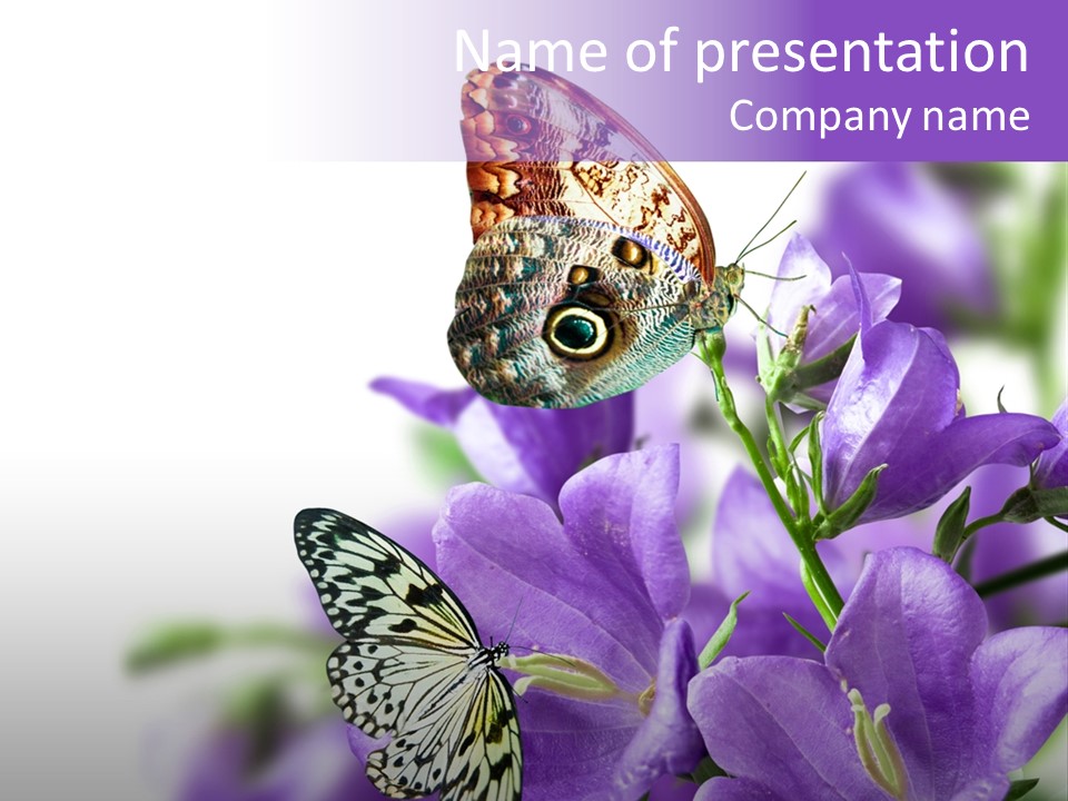 Detail Bloom Leaf PowerPoint Template