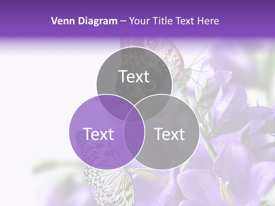 Detail Bloom Leaf PowerPoint Template