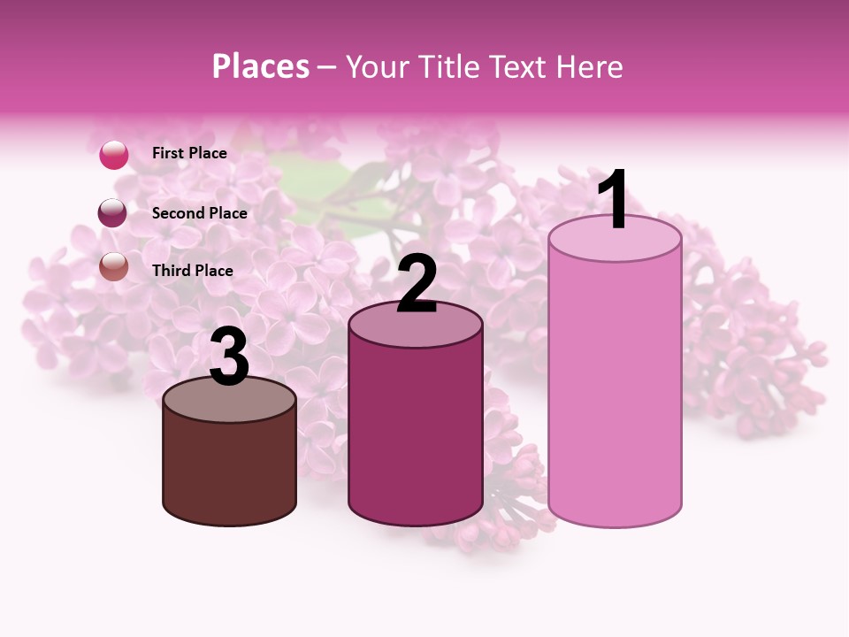 Beauty Lilac Branch PowerPoint Template