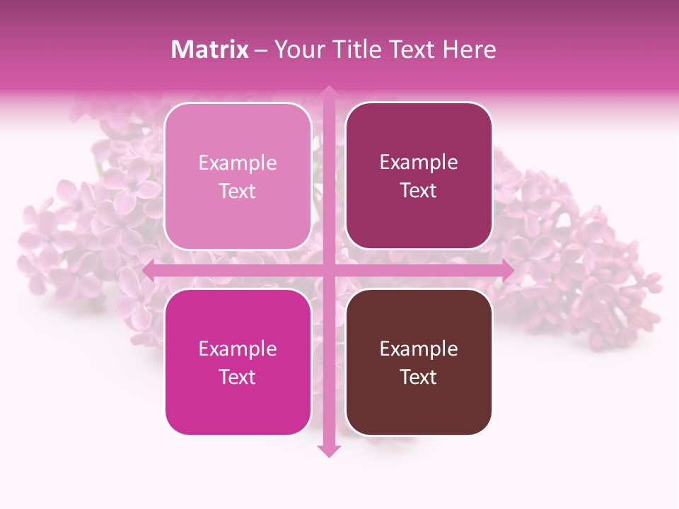 Beauty Lilac Branch PowerPoint Template